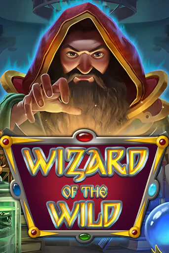 Игровой автомат Wizard of the Wild играть бесплатно на ДжойКазино